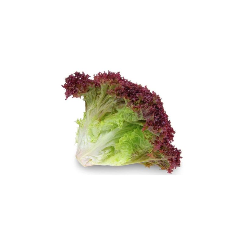 Red Lettuce 1 kg