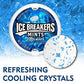 Buy Ice Breakers Coolmint Sugar Free Mints, 42 g (Pack Of 2)