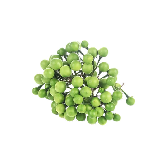  Thai Brinjal 100g