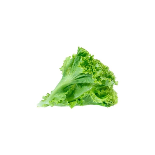Green Lettuce - 1 Kg
