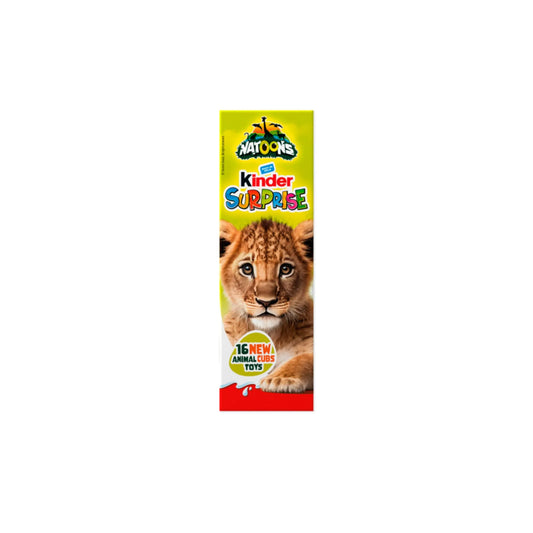 Kinder surprise 80g