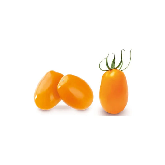 Cherry tomato price – Fresh Tomato Cherry Plum Orange 85g 