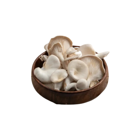 Mushroom Oyster 200g 